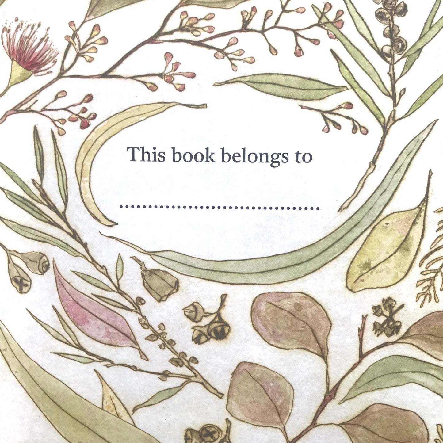 The Bush Birds - Children's Lift The Flap Book