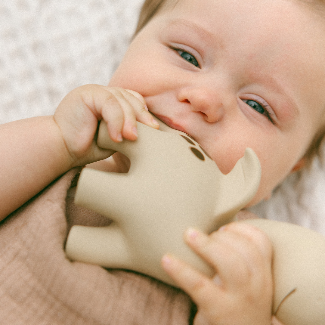 Damaged box - Diplo the Dino-Dragon Natural Rubber Teether