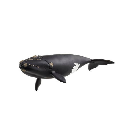 Schleich North Atlantic Right Whale