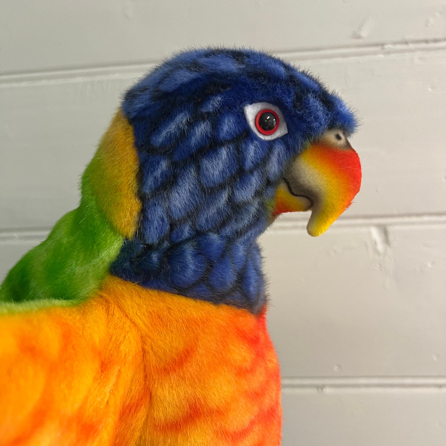 Rainbow Lorikeet Puppet